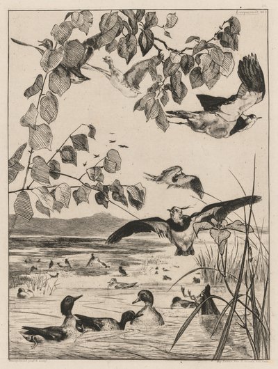 Tomvipor och krickor av Felix Bracquemond