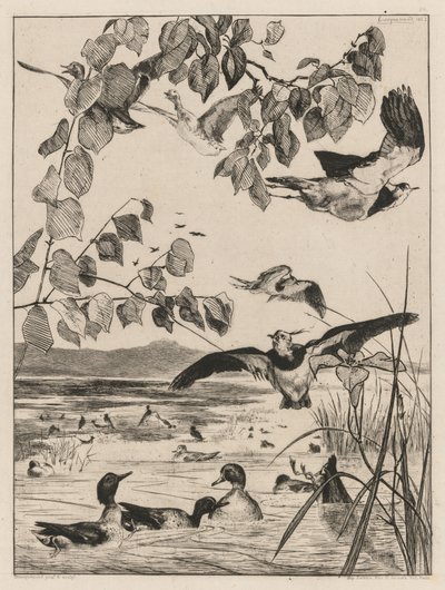 Vipor och krickor, 1862. av Felix Bracquemond