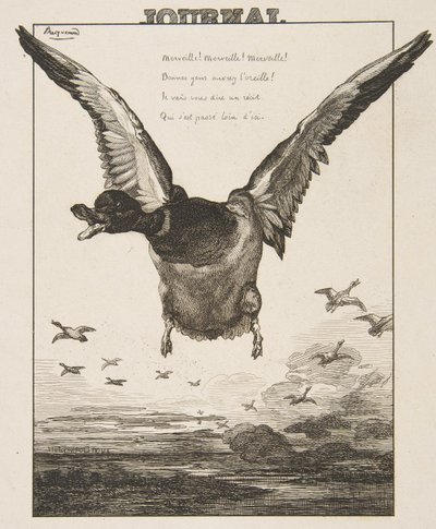Ankan, 1856. av Felix Bracquemond
