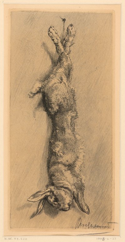 Garennekaninen av Felix Bracquemond