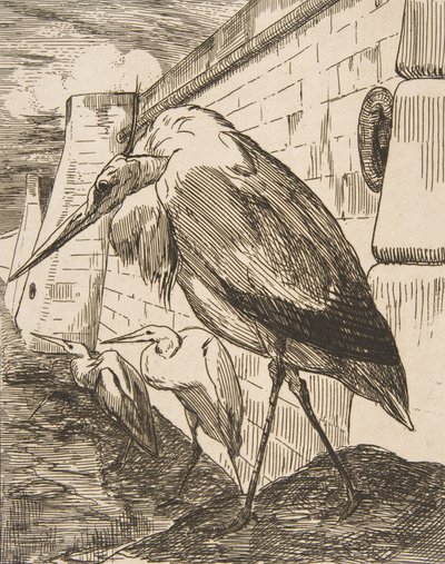 Storkarna, 1870-talet, 1870-talet. av Felix Bracquemond
