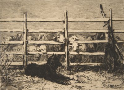 Valda får, 1856. av Felix Bracquemond