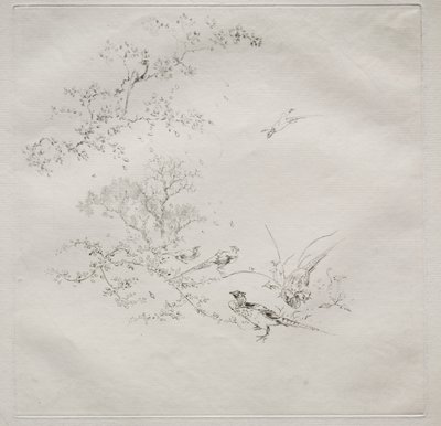 Parisian Service (Haviland-tjänst) av Felix Bracquemond