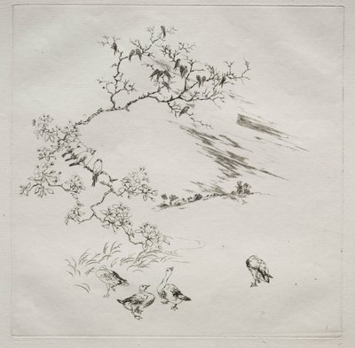 Parisian Service (Haviland service): Natt (nr 7) av Felix Bracquemond