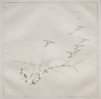 Parisian Service (Haviland service): Rätt i solen (nr 9) av Felix Bracquemond