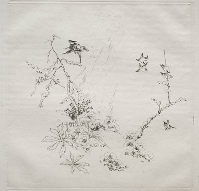 Parisian Service (Haviland service): Snow (nr 6) av Felix Bracquemond