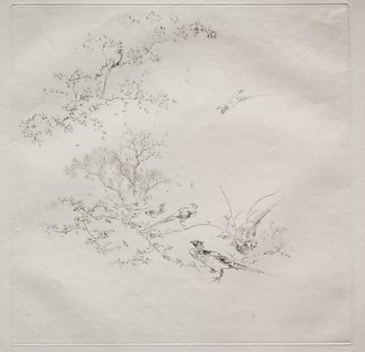 Parisian Service Haviland service: Dim nr. 1, 1875. av Felix Bracquemond