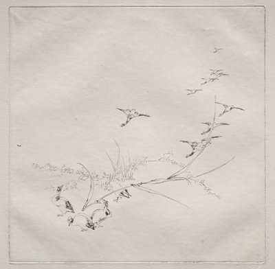Parisian Service Haviland service: Mitt i solen nr. 9, 1875. av Felix Bracquemond