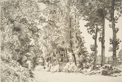 Rue des Bruyères, i Sèvres, 1868. av Felix Bracquemond