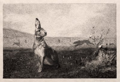 Haren efter A. de Balleroy, 1865. av Felix Bracquemond