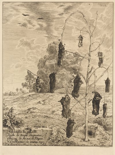 Mullvadarna av Felix Bracquemond