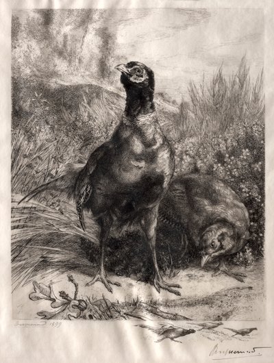 Fasanerna av Felix Bracquemond