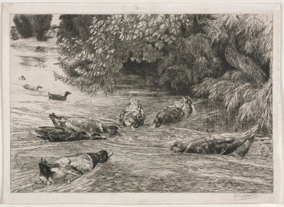 Frågetecknet av Felix Bracquemond
