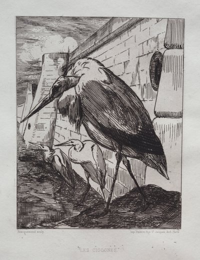 Storkarna av Felix Bracquemond