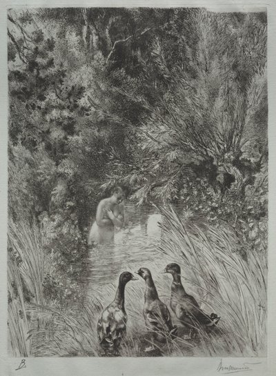 The Surprised Ducks. av Felix Bracquemond