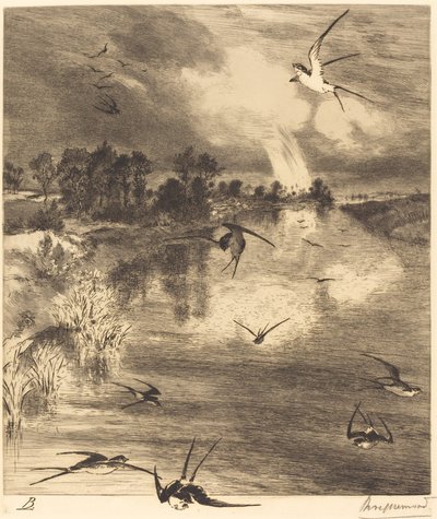 Svalorna av Felix Bracquemond