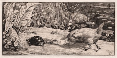Det okända av Felix Bracquemond