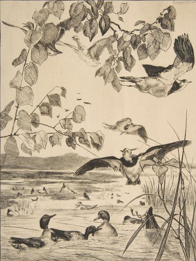 Vipor och Sarcelles, 1862. av Felix Bracquemond