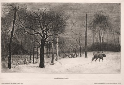 Vinter av Felix Bracquemond