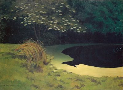Dammen av Felix Edouard Vallotton