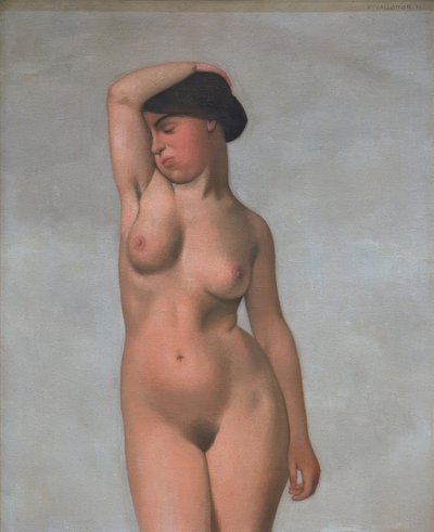 Naken kvinna med höjd arm av Felix Edouard Vallotton