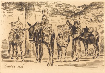 Ark med åsnor från söder, 1873. av Felix Hilaire Buhot