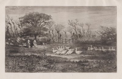 Gäss, 1860-98. av Felix Hilaire Buhot