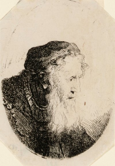 Gammal man med böljande skägg av Ferdinand Bol