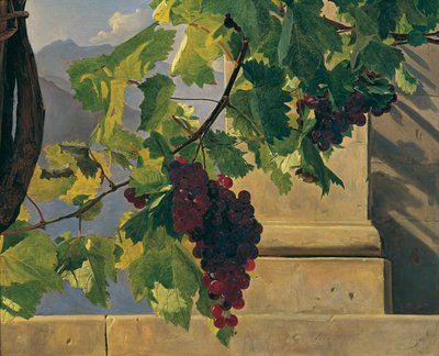 Hängande druvor av Ferdinand Georg Waldmüller