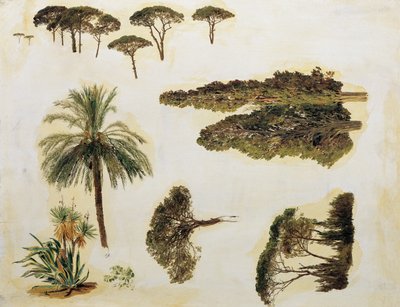 Trädstudier från Rom av Ferdinand Georg Waldmuller