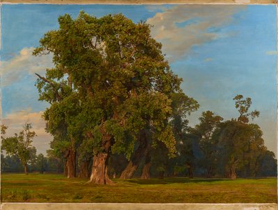 Stort Prater landskap av Ferdinand Georg Waldmuller