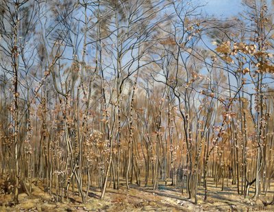 Bokskog, 1885-1894 . av Ferdinand Hodler