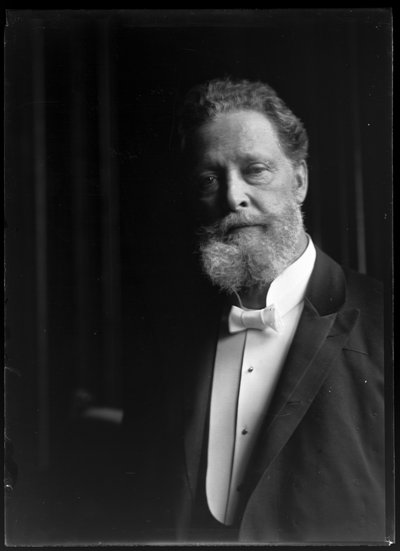 Bild av Charles Lueger (1897-1910) av Ferdinand Schmutzer