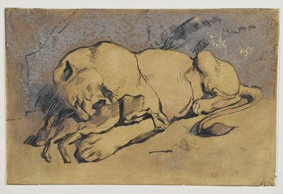 Lejoninna som slukar en kanin (penna och bläck med rödaktig tvätt på brunt papper) av Ferdinand Victor Eugene Delacroix