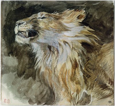 The Head of a Lion (akvarell på papper) av Ferdinand Victor Eugene Delacroix