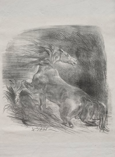 The Wild Horse, eller Frightened Horse Leaving the Water, 1828. av Ferdinand Victor Eugene Delacroix