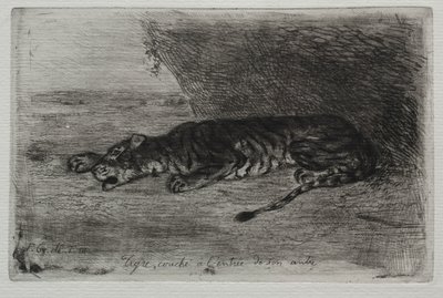 Tiger som ligger vid ingången till sin håla. av Ferdinand Victor Eugene Delacroix