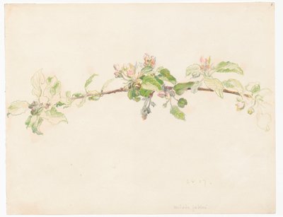 Gren av ett blommande äppelträd av Ferdynand Ruszczyc