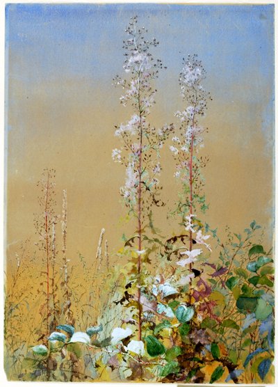 Utan titel, ca. 1876. av Fidelia Bridges