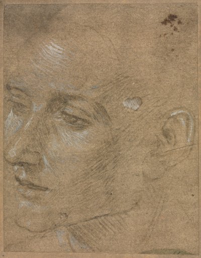 Chef för en ung man, andra hälften av 1400-talet. av Filippino Lippi