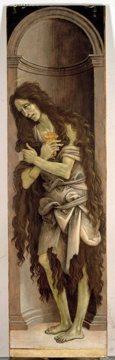 Okänd bild av Filippino Lippi