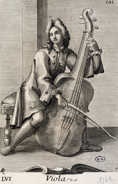 Man spelar viola av Filippo Bonanni