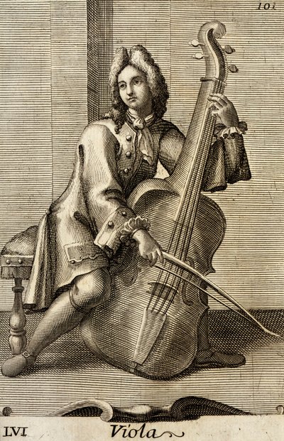 Man spelar viola av Filippo Bonanni