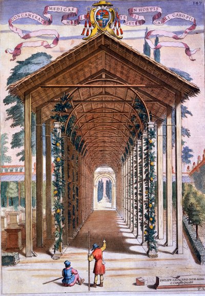 A Trellised Covered Walkway, från 