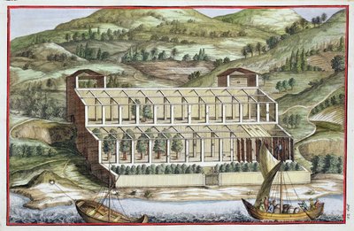 Strukturen av ett växthus, från "Hesperiderna" av Giovanni Battista Ferrari, graverad av Cammillo Congio (fl.1630), publicerad 1646. av Filippo Gagliardi