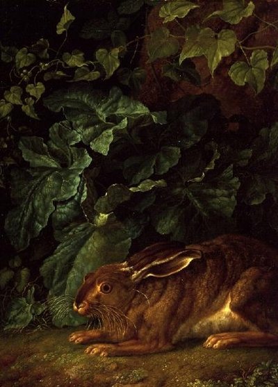 En hare i undervegetation av Filippo Hackert