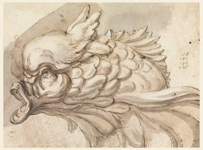 Huvudet av en delfin av Filippo Marchionni