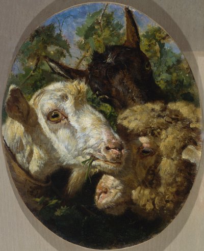 Djurhuvuden av Filippo Palizzi