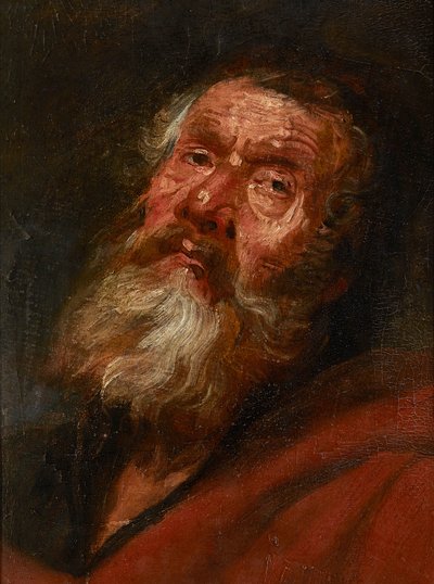 Huvudskiss av en apostel (olja på papper på duk, på ekpanel) av Flemish School