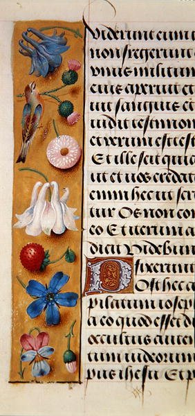 Ms. 1058-1975, f.22v: detalj av en blomkant från en timbok, ca 1500 (vellum) av Flemish School